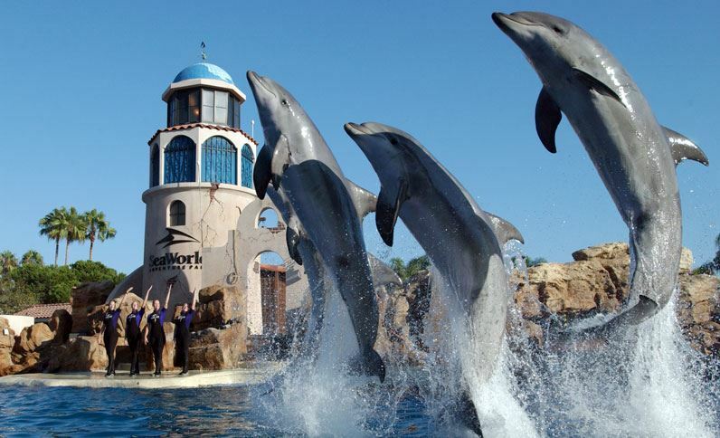 Holiday Inn San Antonio Northwest- Seaworld Area By Ihg Exteriör bild